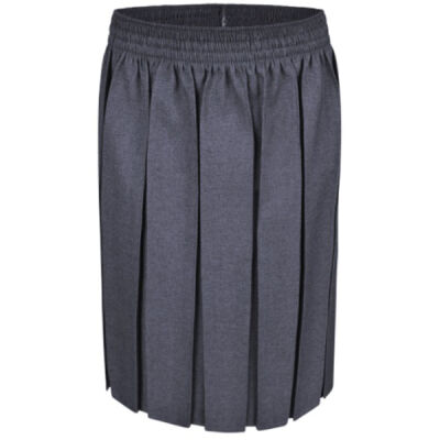 Box Pleat Skirt Thumbnail