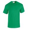 Heavy Cotton™ adult t-shirt Thumbnail